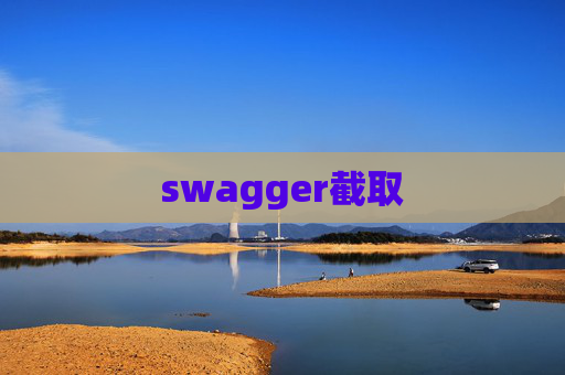 swagger截取